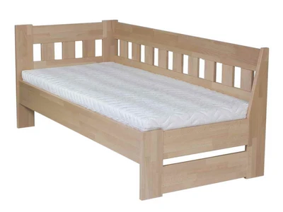 arleta-zvysena-buk_cink-leva_resize